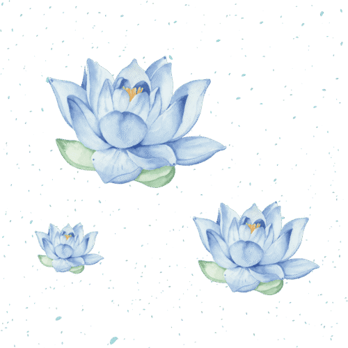learn karuna reiki